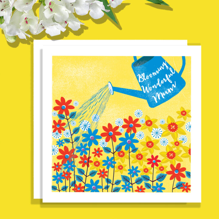 MDW4 Watering can and bright flowers